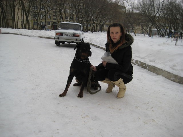 Леди эллина
