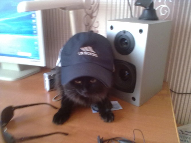 Dima