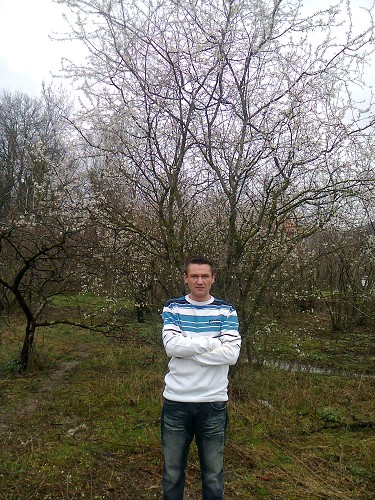 Gentleman moryachok, photo 1
