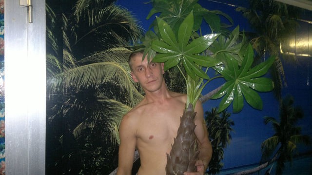 Gentleman maksik, photo 2