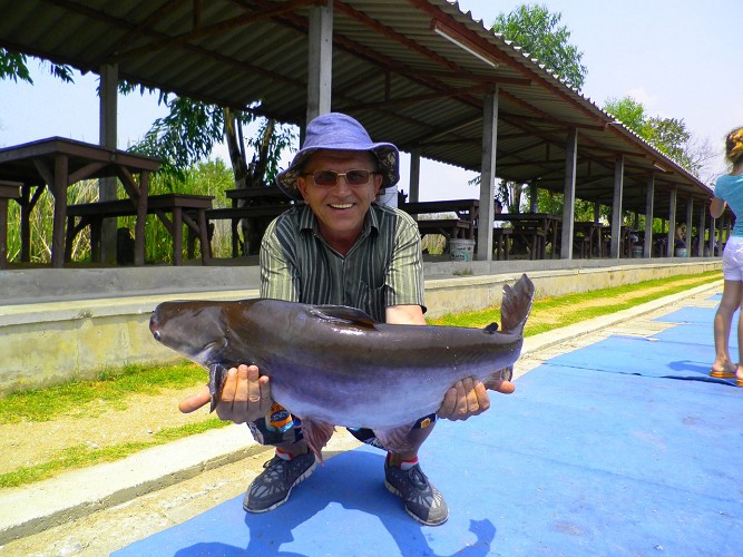 Gentleman aleksej60, photo 1