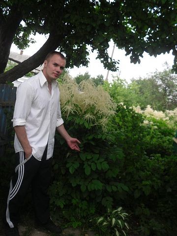 Gentleman dmitrij, photo 2
