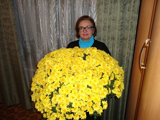 Леди пламенник