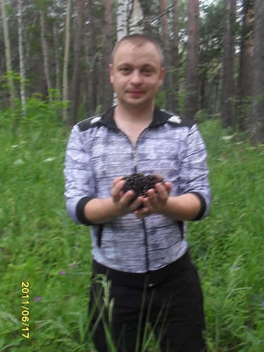 Джентльмен Niko82, фото 3