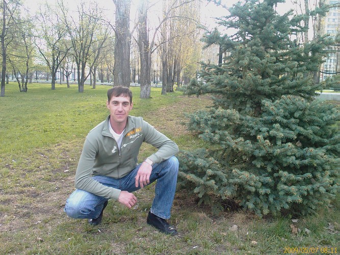Джентльмен кустарник