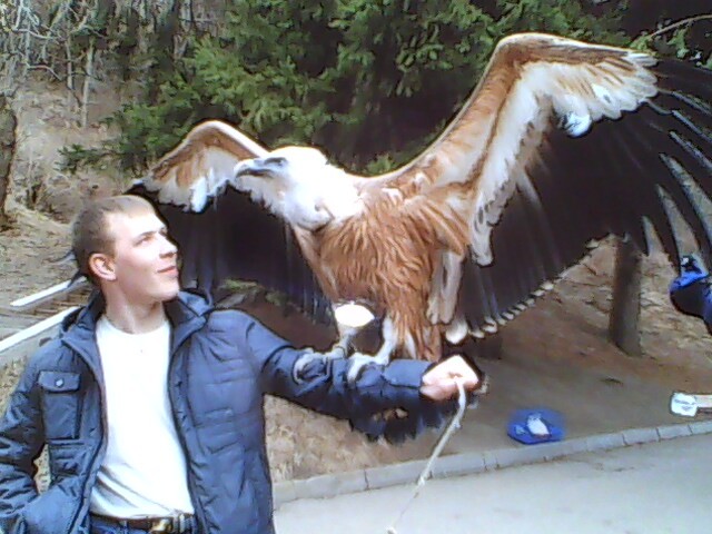 Джентльмен ДмитрийН