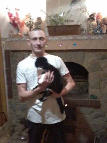 Gentleman lostcat, photo 1