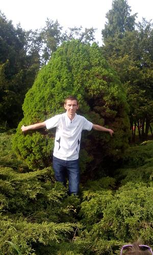 Gentleman saweliy
