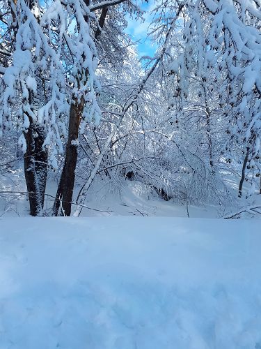 Джентльмен виктор5212, фото 8