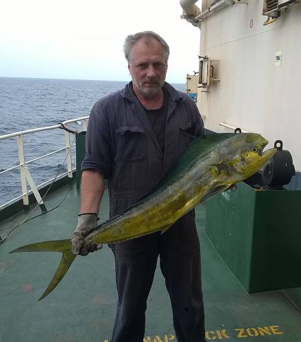 Джентльмен Seamen6464, фото 1